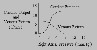 Guytons cardiac function and venous return curves