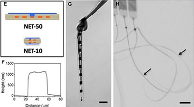 Nanoelectronic Thread 2